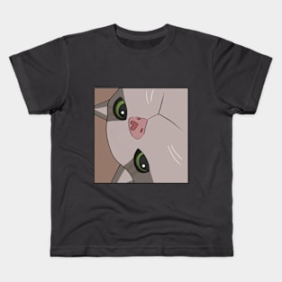 Meme cat close up Kids T-Shirt